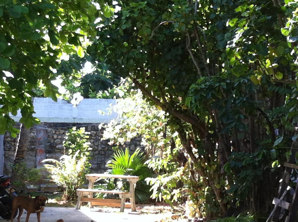 Hostal Casaluna San Andres Εξωτερικό φωτογραφία