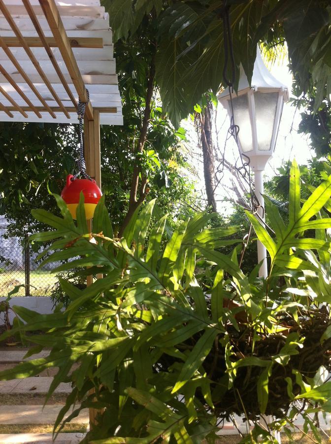 Hostal Casaluna San Andres Εξωτερικό φωτογραφία